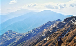 星座女神每日星座运势2025年2月3日