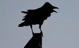 测一测，上半年，你身旁小人从何而来？