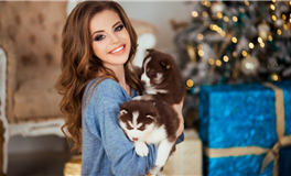 郑博士每日生肖运势2025年2月20日