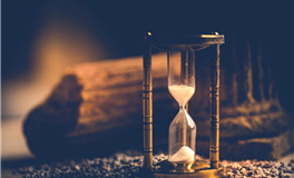 身弱者如何在社会中崛起：成功秘诀一览