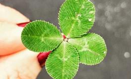 数字奥秘：揭秘你的一周幸运事件