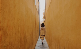 每日生肖运势2025年3月21日（二月二十二）