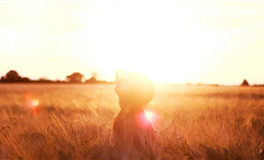 水玲师傅：2025年4月十二生肖运势