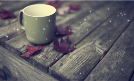 Pandora占星小巫巨蟹座2025年4月运势