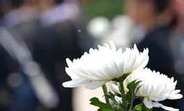 清明节扫墓：揭秘五类不宜参与的人群