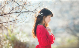 得财神关照富贵挡不住！人生路财运亨通的生肖