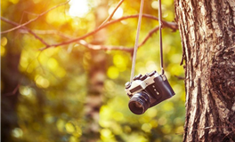 星座女神每日星座运势2025年4月2日