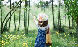 流星许愿指南：一闪即逝的瞬间，预测你的愿望何时成真
