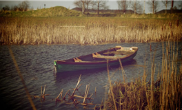 优化转运技巧：规避旧习的秘诀，哪些生肖需警惕