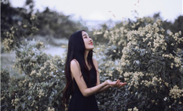 占星妖妖十二星座每日运势（2025-4-17）