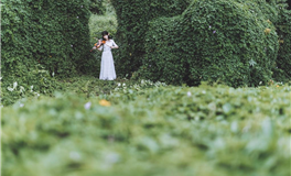 探索心灵深处：你的财富来源揭秘