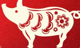 董易林生肖猪2025年5月运势