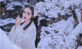 2025-2028土星白羊座整体影响（三）