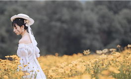 水玲师傅：属马人2025年5月运势