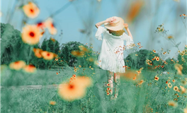 双子座新月！这些星座职场运势一路飙升！