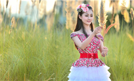 我们的后半生：岁月静好的力量