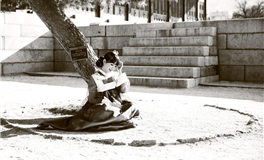 易鑫今日生肖运势2025年6月28日