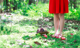 星座女神：金牛座本周运势（6.16-6.22）