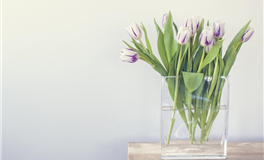 日运 2025年6月3日 星期二 农历五月初八