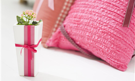 海百合处女座本周运势（6.30-7.6）