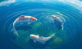 院落风水宝典：招财进宝，家财万贯