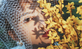 苏米君十二星座每日运势播报（2025年7月7日）