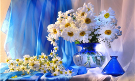 滴天居士2025年7月3日生肖运势