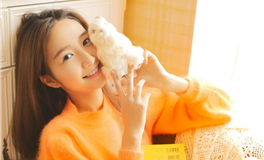 坚毅与热情的化身，揭秘三大星座女性的独特魅力