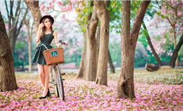 滴天居士：对下周的解析与建议【7月6到7月12】