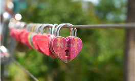 郑博士每日生肖运势2025年7月29日