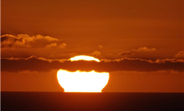 海百合射手座本周运势（7.7-7.13）