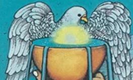 爱莎公主射手座一周塔罗运势（7.21-7.27）