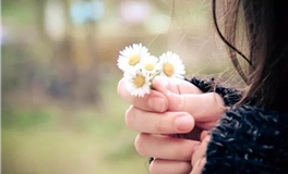 苏米君十二星座每日运势播报（2025年8月29日）