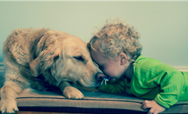 每日生肖运势2025年8月25日（七月初三）