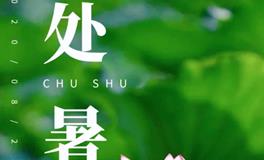 处暑之际，双吉日降临：下半年的开运转运攻略