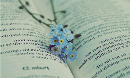 日运 2025年8月19日 星期二 农历闰六月廿六