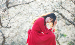 猫咪占星：水瓶座2025年9月运势解析