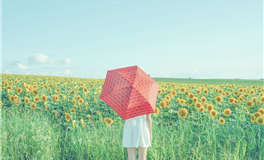 水玲师傅：今日五行能量/五行运势2025年9月15日