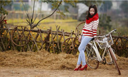 猫咪占星：射手座2025年9月运势解析