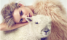 高智慧星座盘点，谁是真正的星座高手？