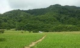 阴宅寻穴：土质选择的秘籍与注意事项