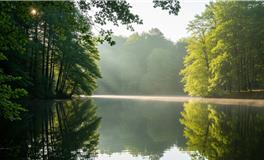 能量之旅：探索你的【心灵疗愈动物】