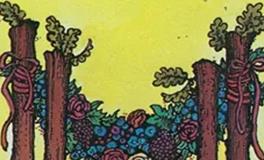 爱莎公主双鱼座一周塔罗运势（9.22-9.28）