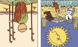 Pandora占星小巫白羊座一周塔罗运势（9.22-9.28）