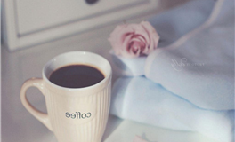 中秋这四生肖好运相伴，追逐属于你的美好吧！