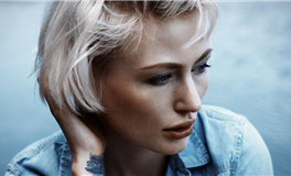 互联网创业的黄金生肖：流量自然的秘密