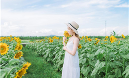 阿妙占星每日星座运势2025年10月2日