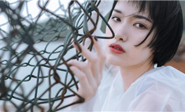 易鑫今日生肖运势2025年10月26日