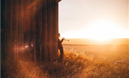 白羊座追求的是那种纯粹又热烈的爱情