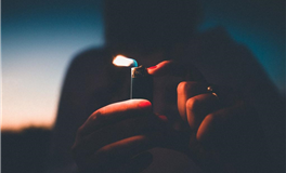 张鑫龙每日通盛+生肖运势 2025年11月1日